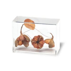 Caixa de acrílico rosa tefe com cobre