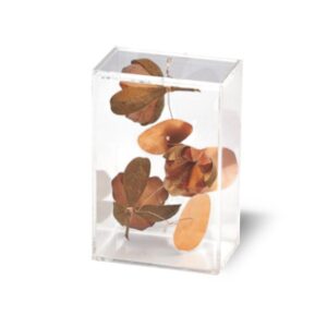 Caixa rosa tefe com cobre