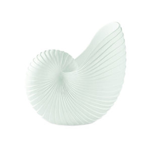 Concha Decorativa