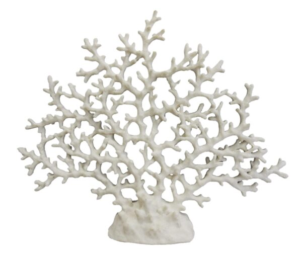 Coral Decorativo Branco