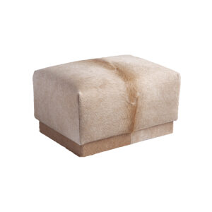 Puff Teddy